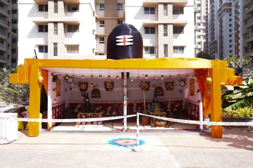 20240322-DSC03707-1-08915