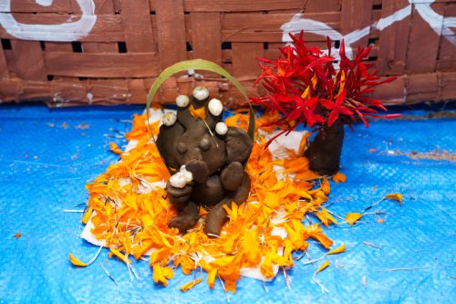 20240322-DSC03707-1-09900