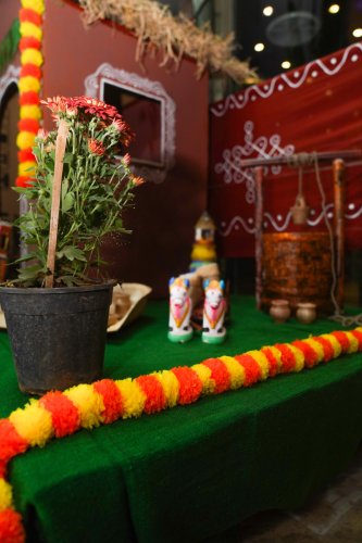 20240322-DSC03707-1-00034